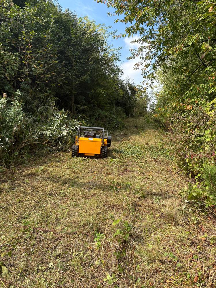 Tondeuse AxionPro 459 cm³ dans un chemin envahi par la végétation